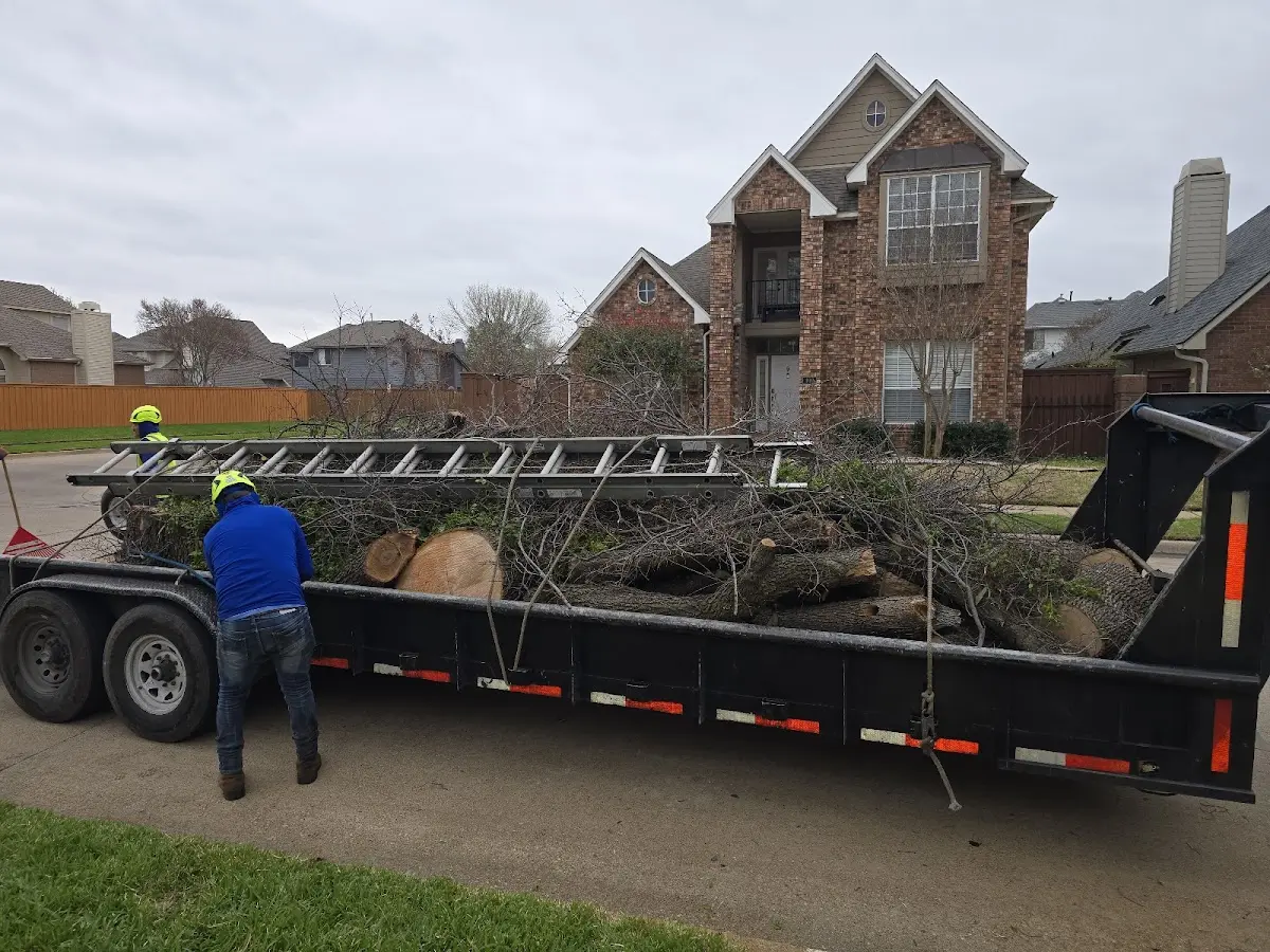 Expert Tree Fertilization with proper safety equipment in Duncans Mills